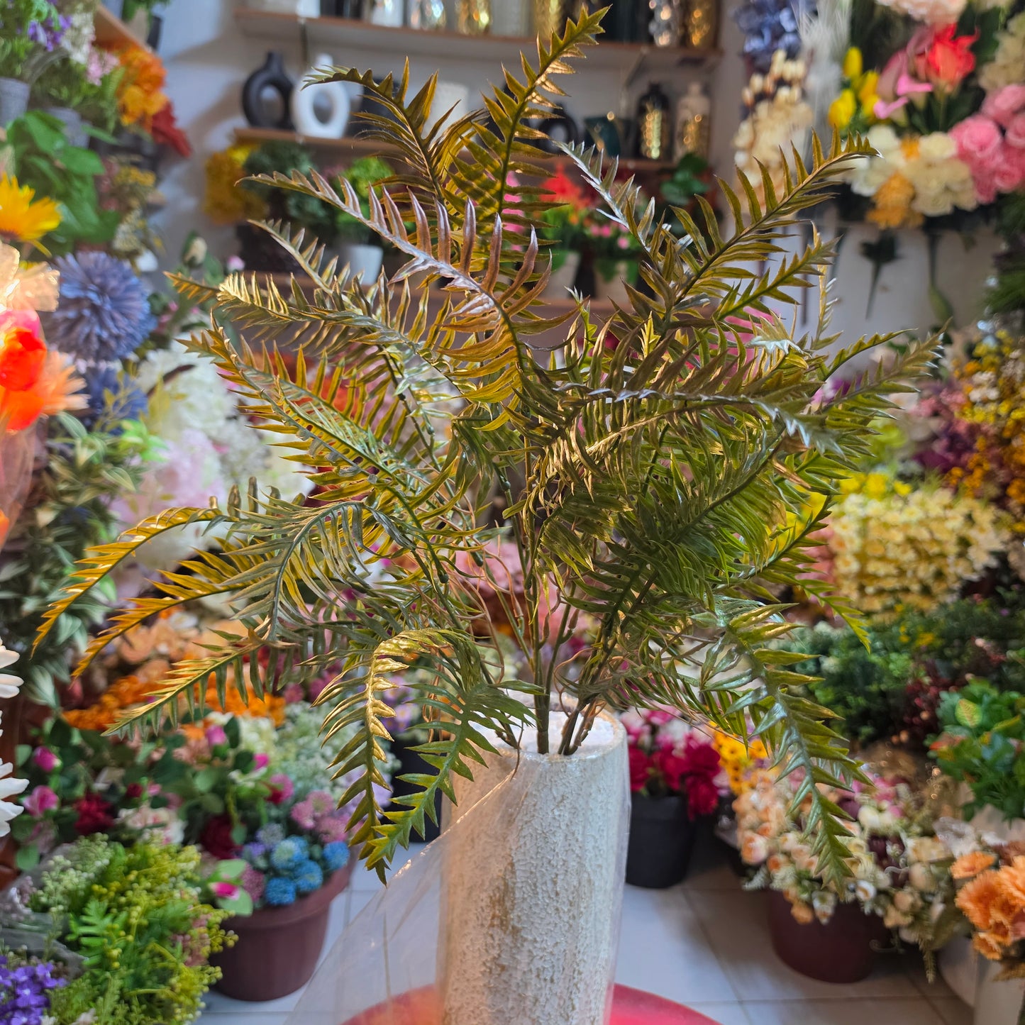 Boston Fern Bunch