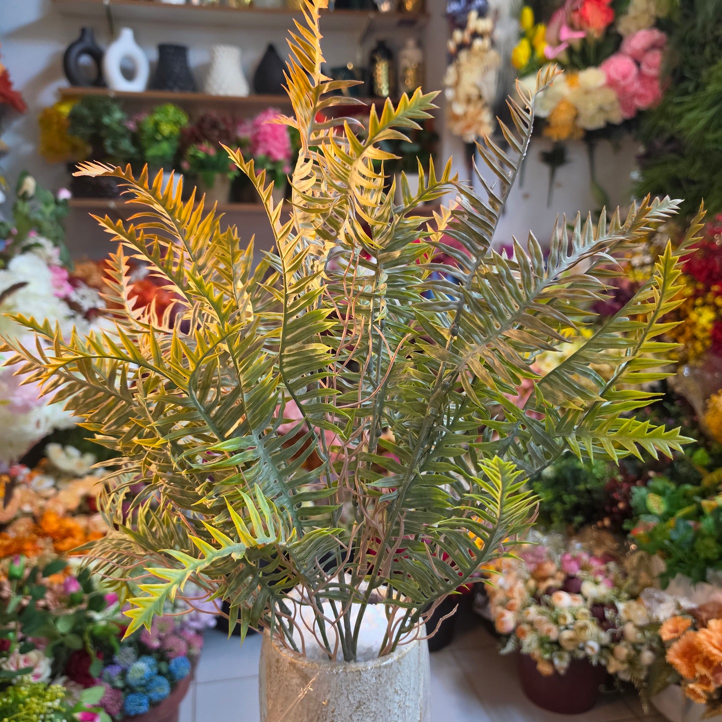 Boston Fern Bunch