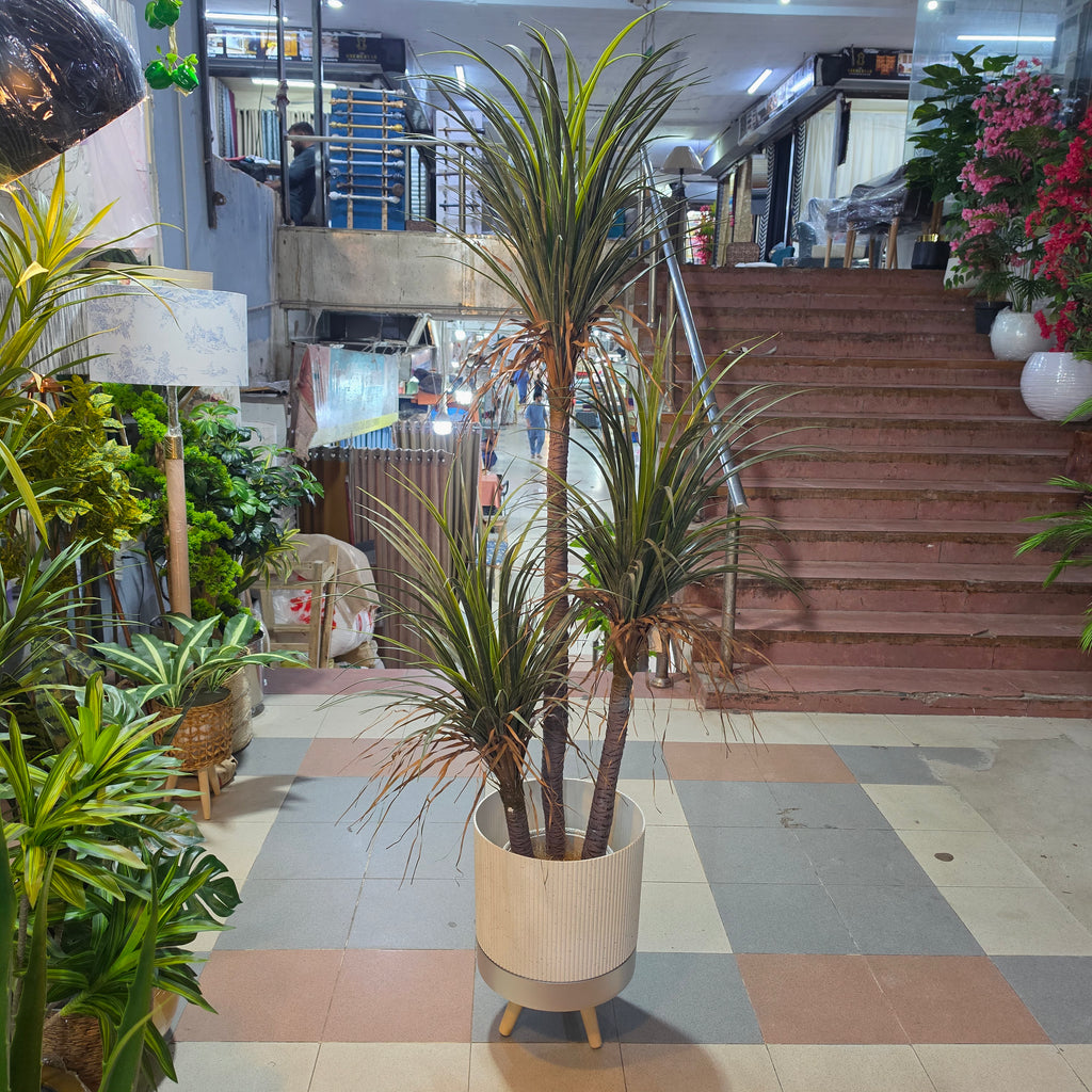 Artificial Dracaena Plant 5.5ft