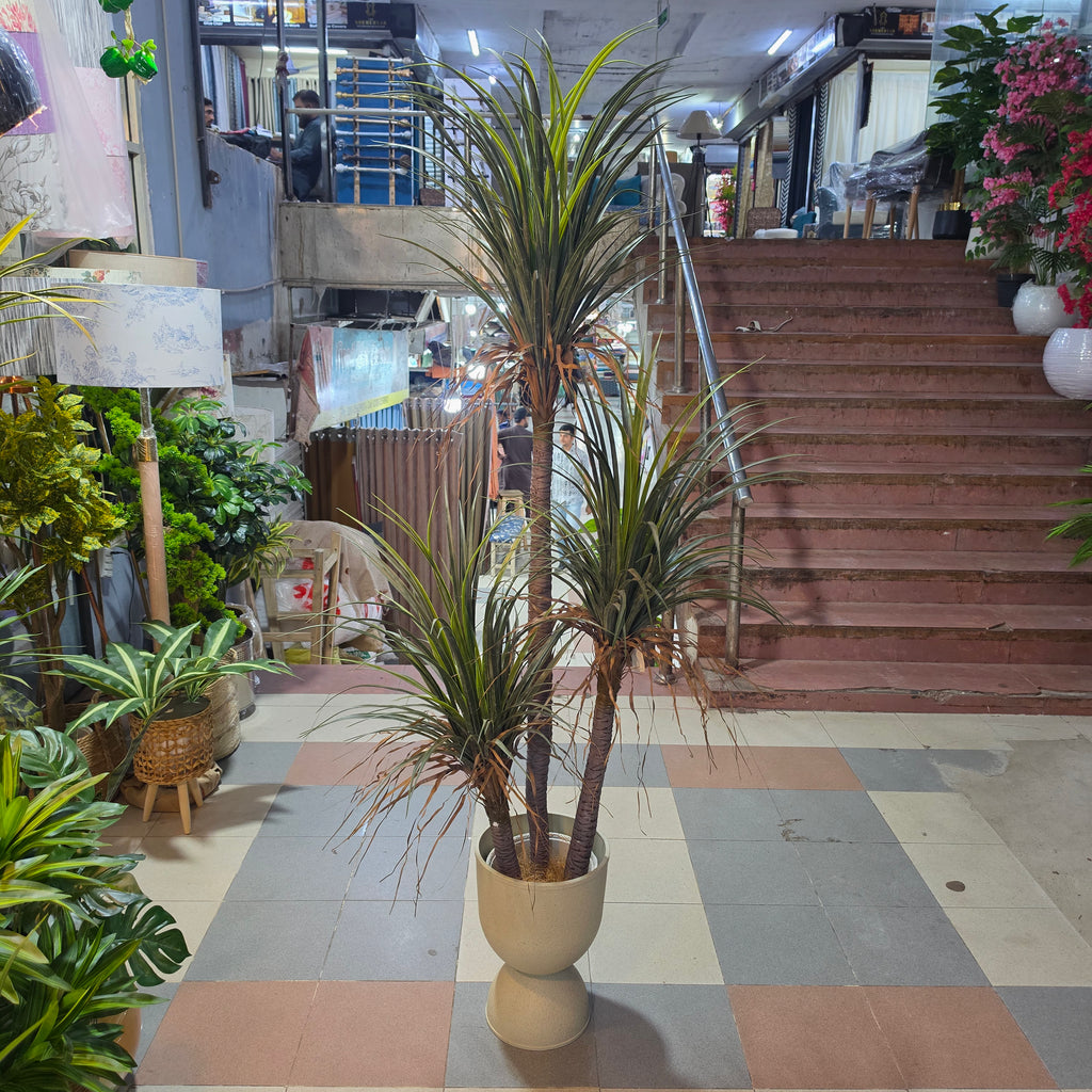 Artificial Dracaena Plant 5.5ft