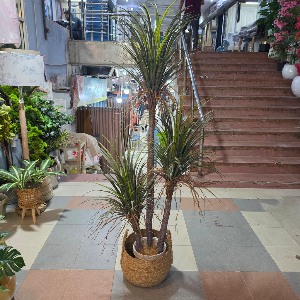 Artificial Dracaena Plant 5.5ft