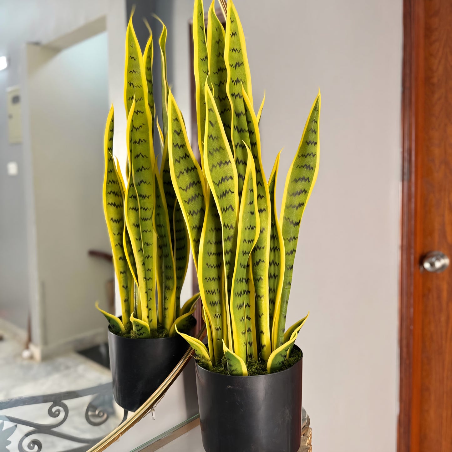 Artificial Snake Plant 3ft
