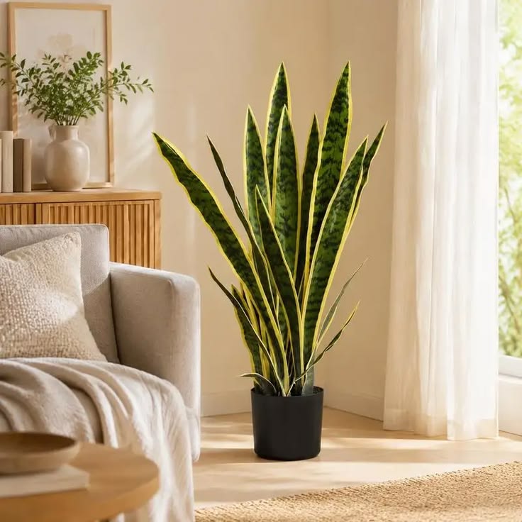 Artificial Snake Plant 3ft