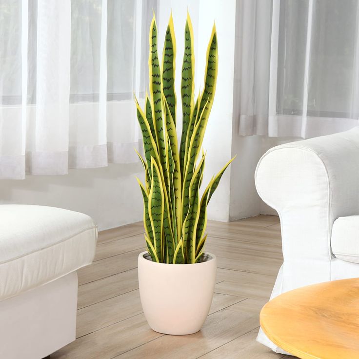 Artificial Snake Plant 3ft