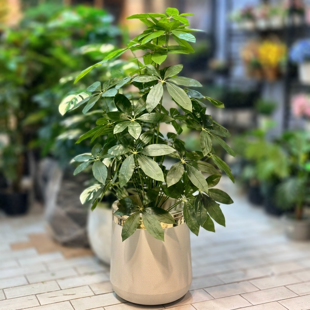 Plant Bush with Fiber pot 4ft