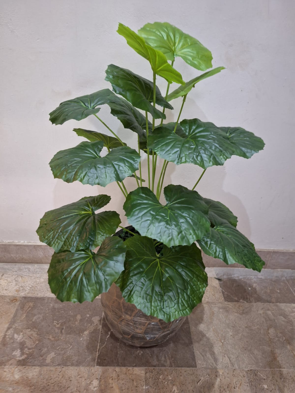 18-Leaves with Fiber pot 4ft