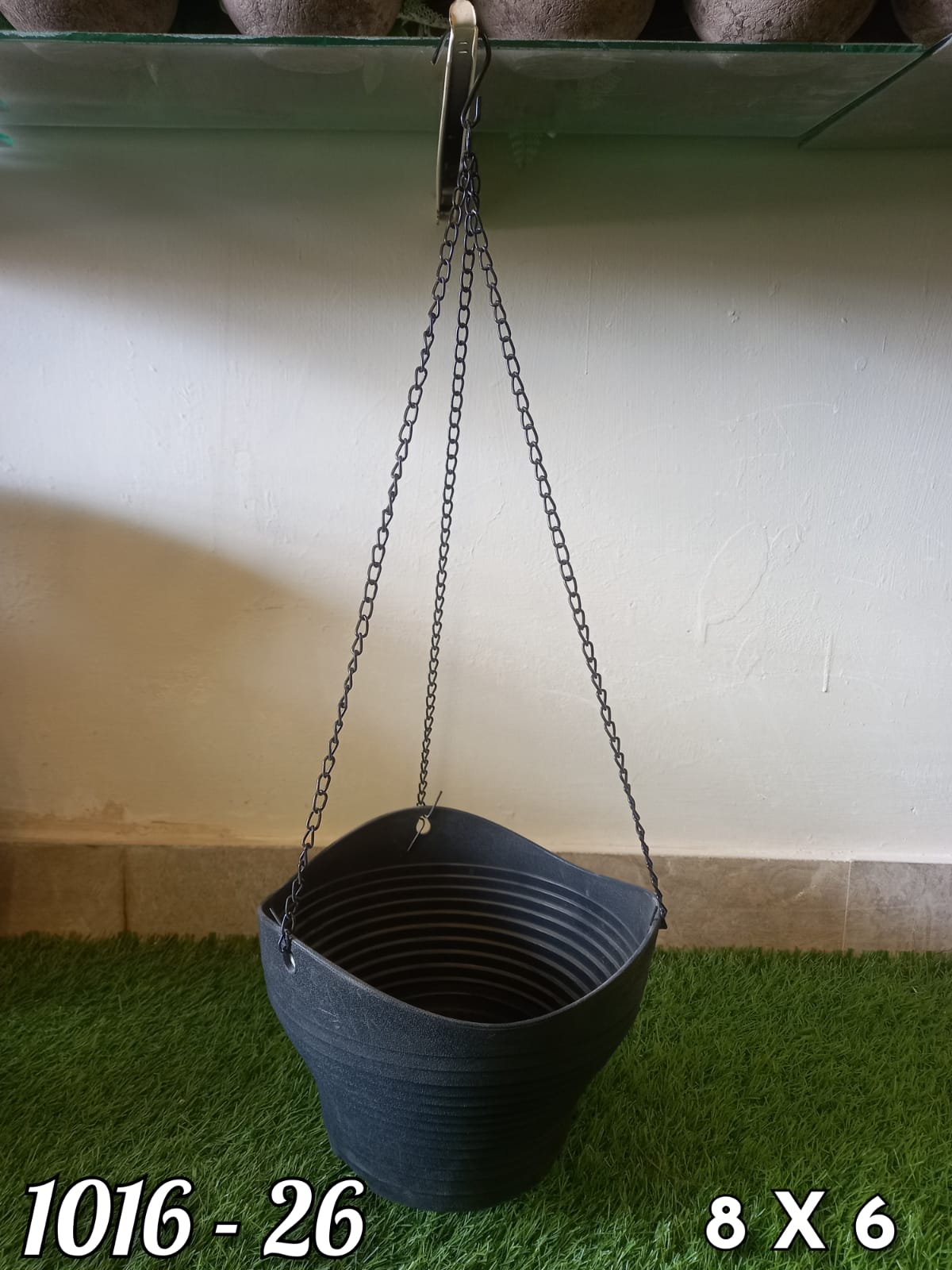 Premium Monstera Hanging Creeper