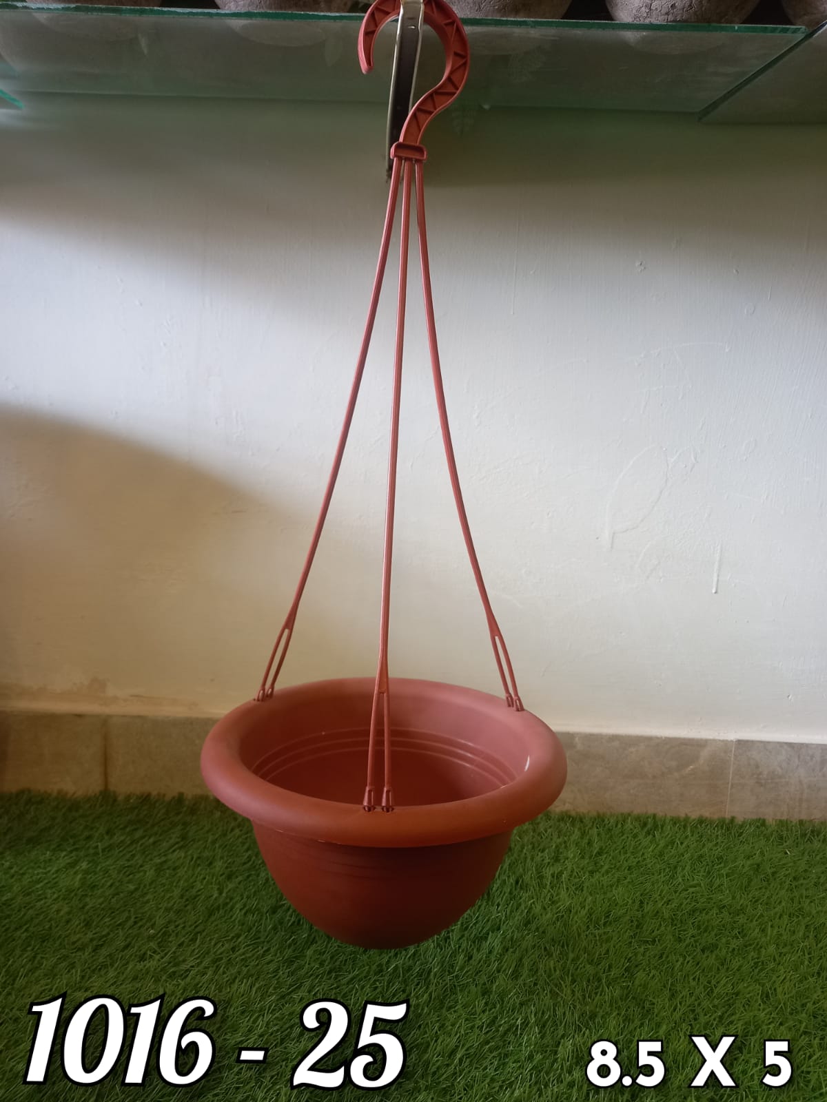 Premium Monstera Hanging Creeper