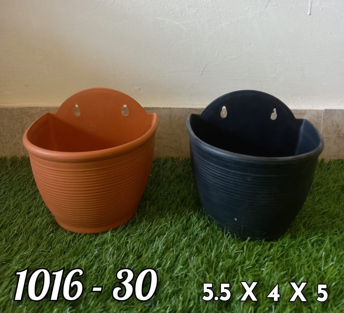 Premium Palm Hanging Creeper