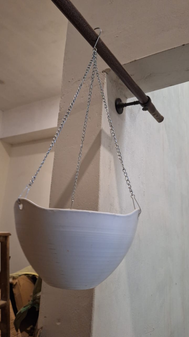 Premium Palm Hanging Creeper