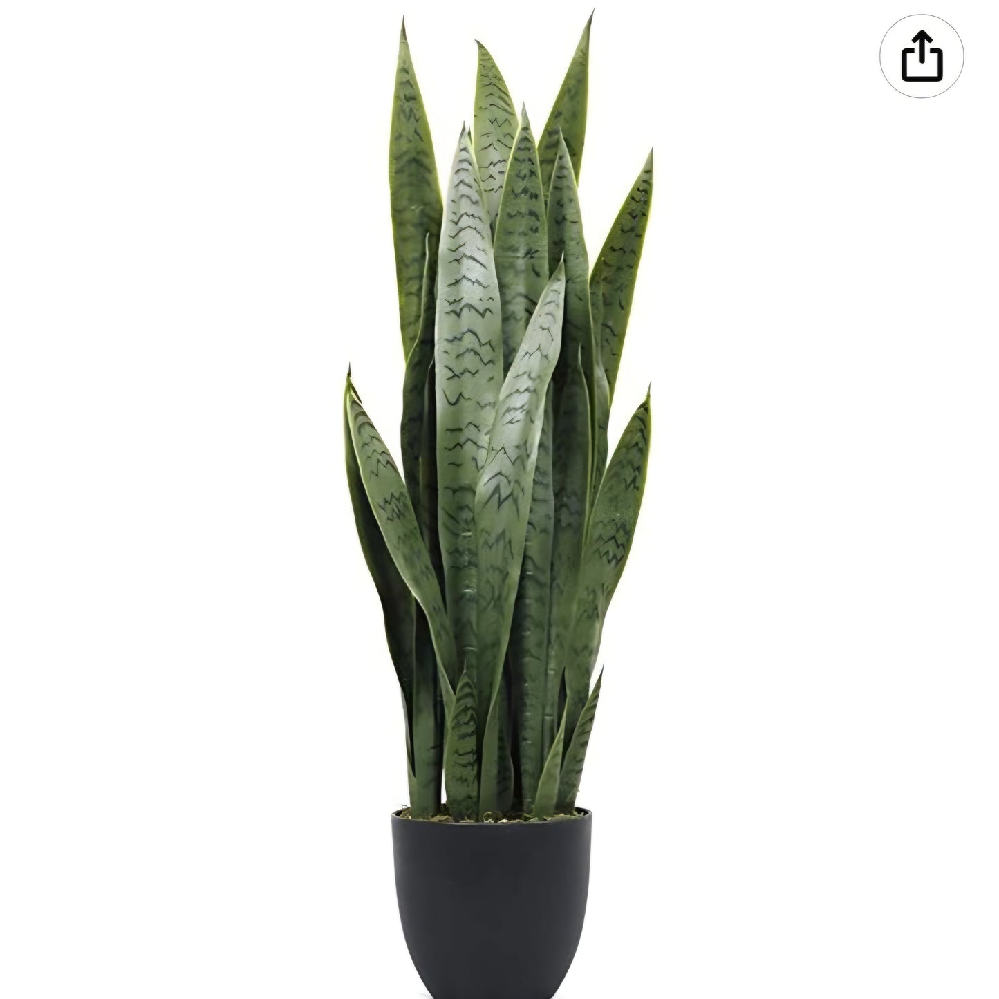 Artificial Snake Plant 3ft